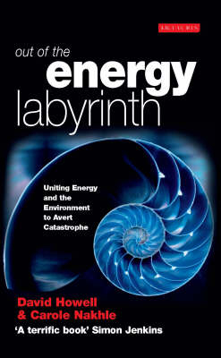 Out of the Energy Labyrinth -  Carole Nakhle,  David Howell