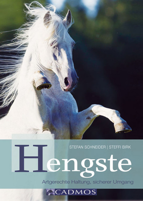 Hengste - Stefan Schneider, Steffi Birk