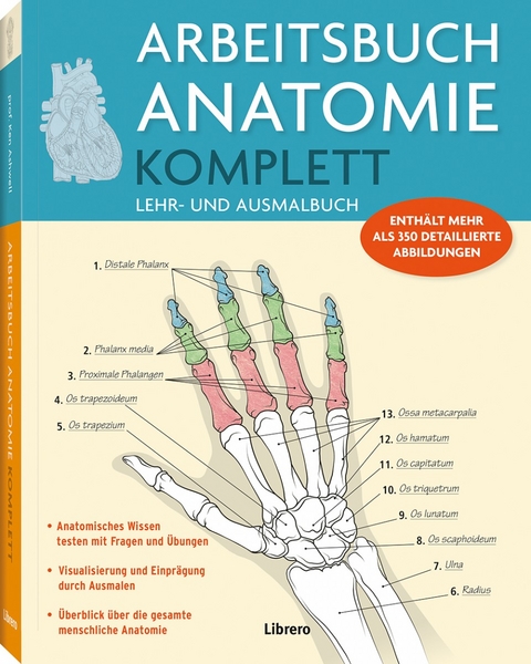 Arbeitsbuch Anatomie Komplett - P. Carter, K. Russel