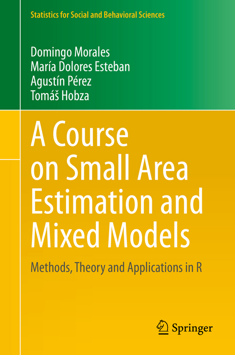 A Course on Small Area Estimation and Mixed Models - Domingo Morales, María Dolores Esteban, Agustín Pérez, Tomáš Hobza