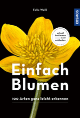 Einfach Blumen - Felix Weiß