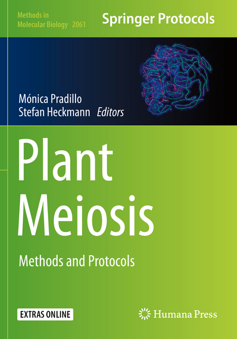 Plant Meiosis - 