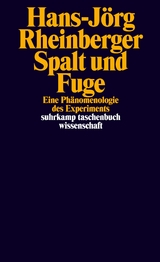 Spalt und Fuge - Hans-Jörg Rheinberger