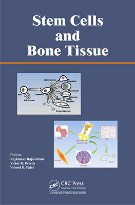 Stem Cells and Bone Tissue - 