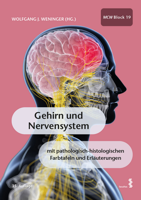 Gehirn und Nervensystem - 