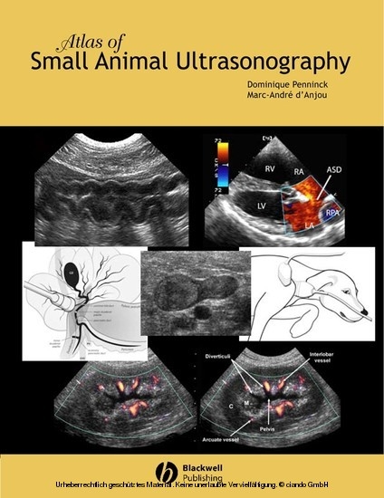 Atlas of Small Animal Ultrasonography - 