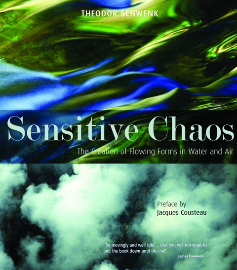 Sensitive Chaos - Theodor Schwenk