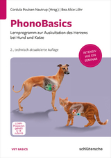 PhonoBasics DVD - Poulsen Nautrup, Cordula; Löhr, Bea