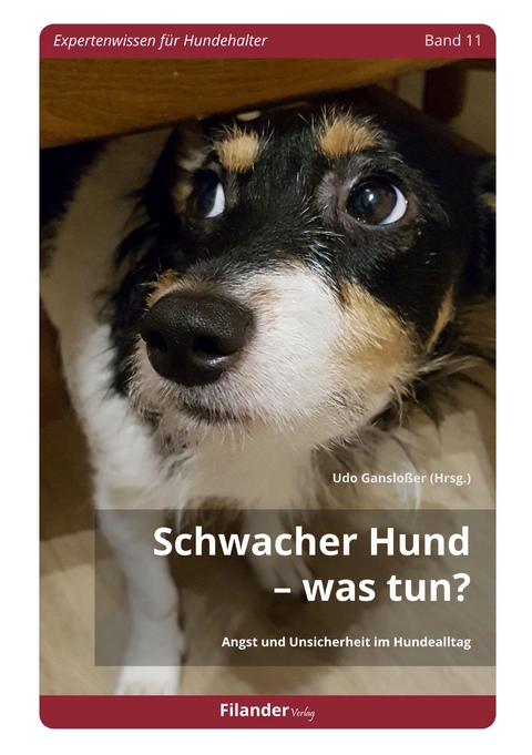 Schwacher Hund – Was tun? - 