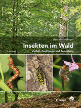 Insekten im Wald - Wermelinger, Beat