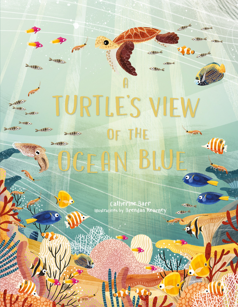 A Turtle's View of the Ocean Blue - Catherine Barr