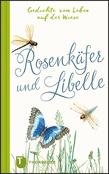 Rosenkäfer und Libelle