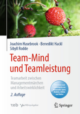 Team-Mind und Teamleistung - Hasebrook, Joachim; Hackl, Benedikt; Rodde, Sibyll