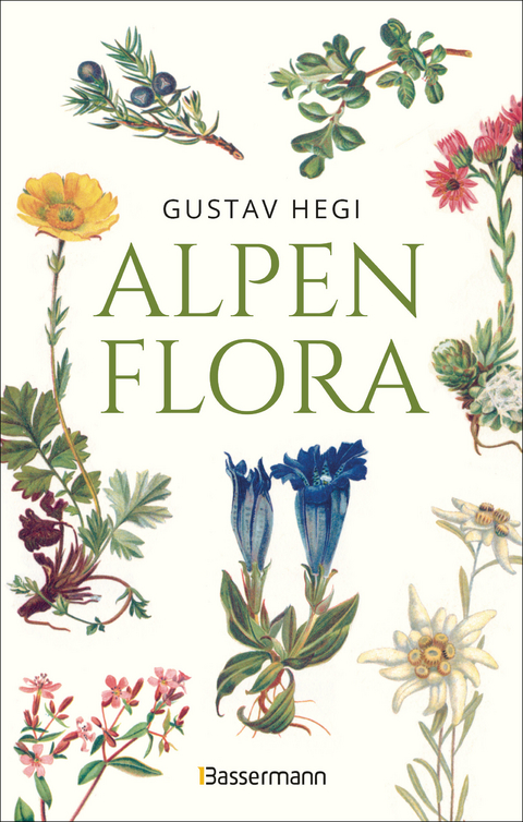 Alpenflora - der erste umfassende Naturführer der alpinen Pflanzenwelt. Über 260 detaillierte, handgezeichnete Illustrationen und genaue Beschreibungen - Gustav Hegi