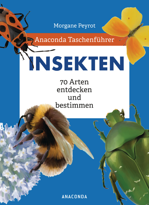 Anaconda Taschenführer Insekten. 70 Arten entdecken und bestimmen - Morgane Peyrot, Lise Herzog