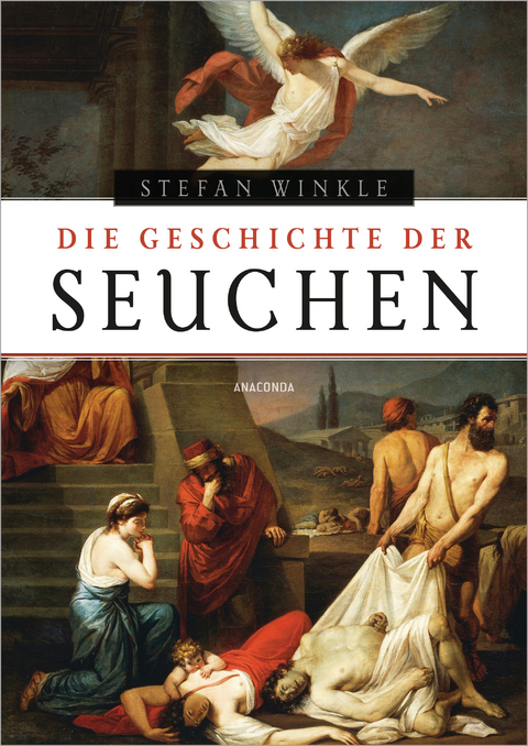 Die Geschichte der Seuchen - Stefan Winkle