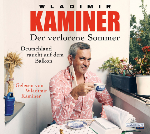 Der verlorene Sommer - Wladimir Kaminer