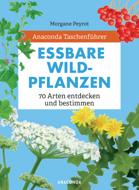 Anaconda Taschenführer Essbare Wildpflanzen. 70 Arten entdecken und bestimmen - - Morgane Peyrot, Lise Herzog