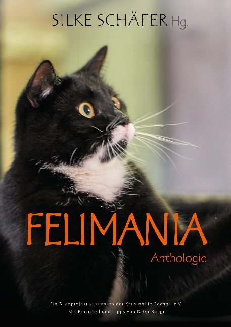 Felimania - 