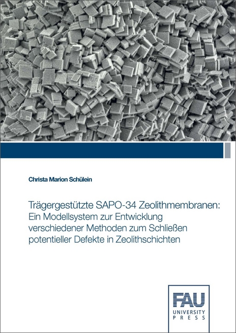 Trägergestützte SAPO-34 Zeolithmembranen - Christa Marion Schülein