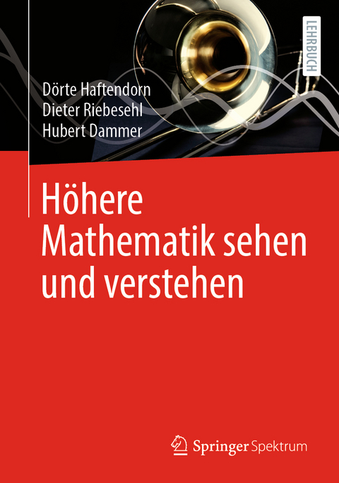 Höhere Mathematik sehen und verstehen - Dörte Haftendorn, Dieter Riebesehl, Hubert Dammer