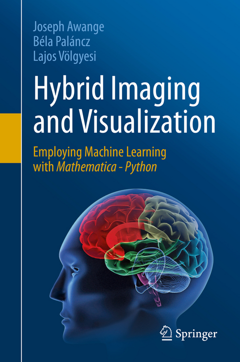 Hybrid Imaging and Visualization - Joseph Awange, Béla Paláncz, Lajos Völgyesi