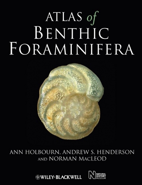 Atlas of Benthic Foraminifera -  Andrew S. Henderson,  Ann Holbourn,  Norman Macleod