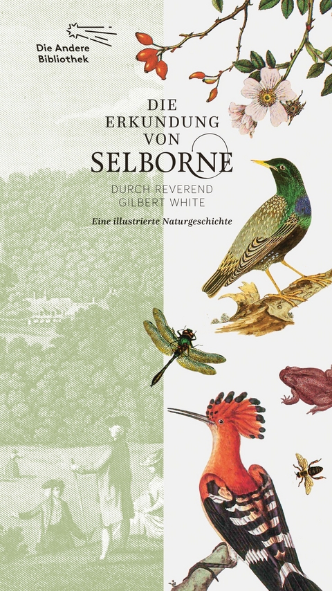 Die Erkundung von Selborne durch Reverend Gilbert White - Gilbert White