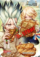 Dr. Stone 11 -  Boichi, Riichiro Inagaki