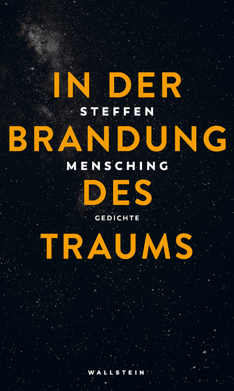 In der Brandung des Traums - Steffen Mensching