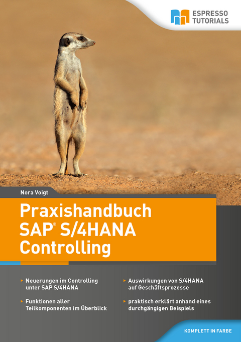 Praxishandbuch SAP S/4HANA Controlling - Nora Voigt