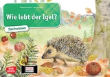 Wie lebt der Igel? Kamishibai Bildkartenset. - Katharina Stöckl-Bauer