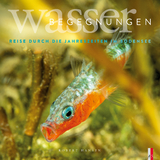 Wasser Begegnungen - Robert Hansen