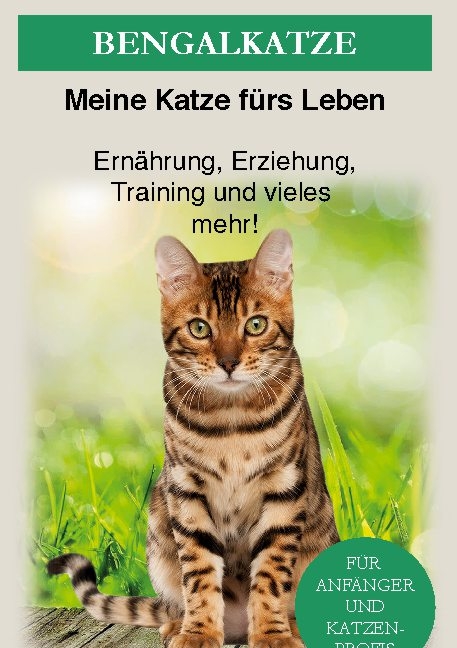 Bengal Katze - Meine Katze fürs Leben Ratgeber