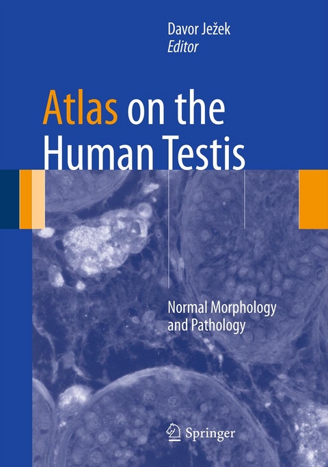 Atlas on the Human Testis - 