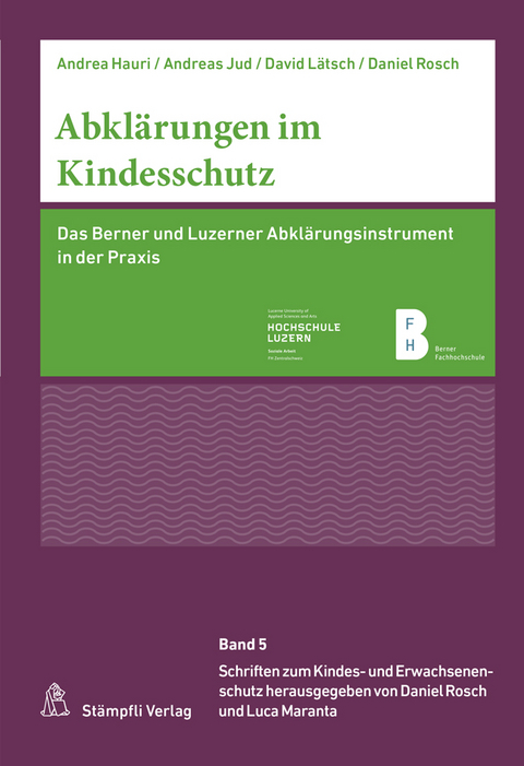 Abklärungen im Kindesschutz - Andrea Hauri, Andreas Jud, David Lätsch, Daniel Rosch