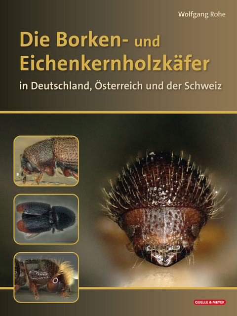 Die Borken- und Eichenkernholzkäfer in Deutschland, Österreich und der Schweiz - Wolfgang Rohe