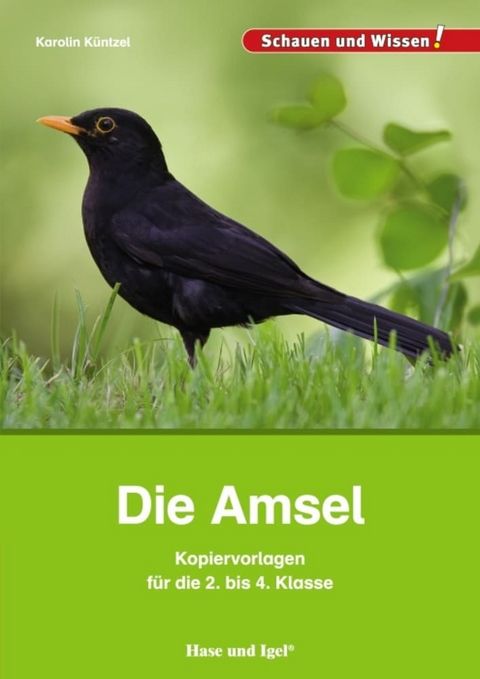 Die Amsel – Kopiervorlagen für die 2. bis 4. Klasse - Karolin Küntzel