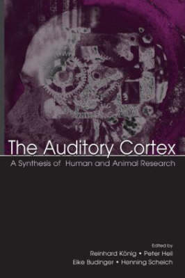 Auditory Cortex - 