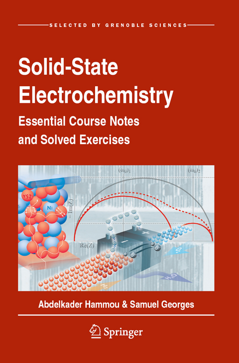 Solid-State Electrochemistry - Abdelkader Hammou, Samuel Georges