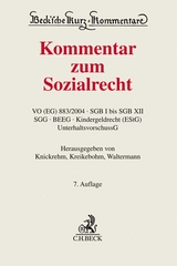 Kommentar zum Sozialrecht - 