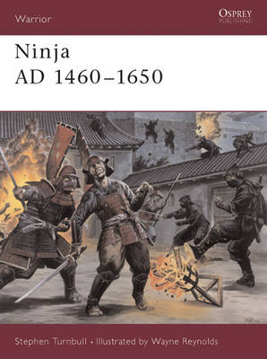 Ninja AD 1460 1650 -  Stephen Turnbull