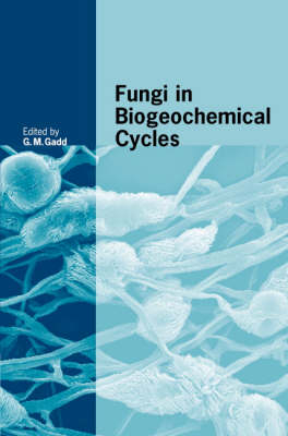 Fungi in Biogeochemical Cycles - 