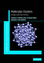 Molecular Clusters -  Thomas Fehlner,  Jean-Francois Halet,  Jean-Yves Saillard