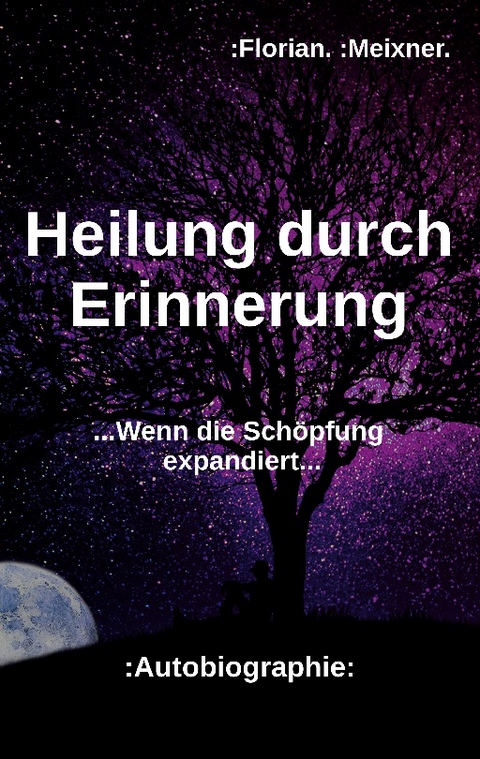 Heilung durch Erinnerung - Florian Meixner