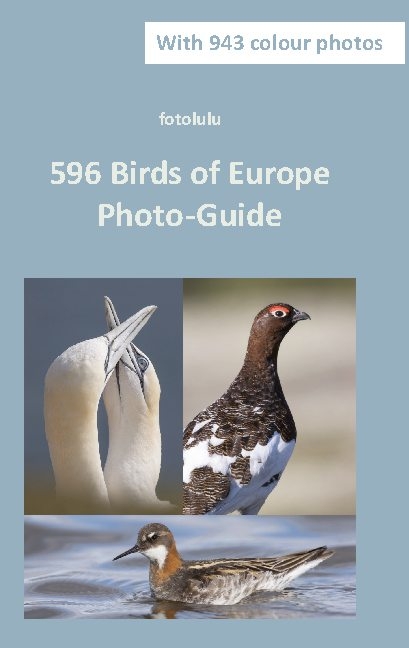 596 Birds of Europe -  fotolulu