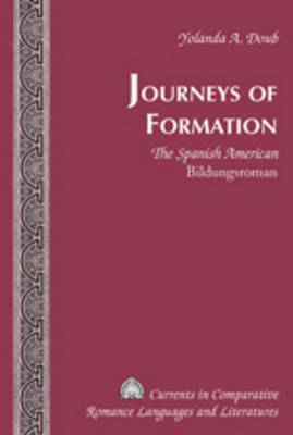 Journeys of Formation : The Spanish American Bildungsroman -  Yolanda A. Doub