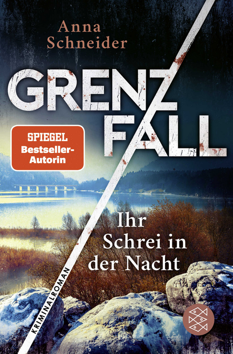 Grenzfall - ihr Schrei in der Nacht - Anna Schneider