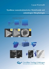 Synthese nanostrukturierter Metalloxide mit anisotroper Morphologie - Lucas Warmuth