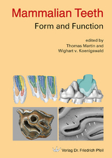 Mammalian Teeth - Form and Function - 